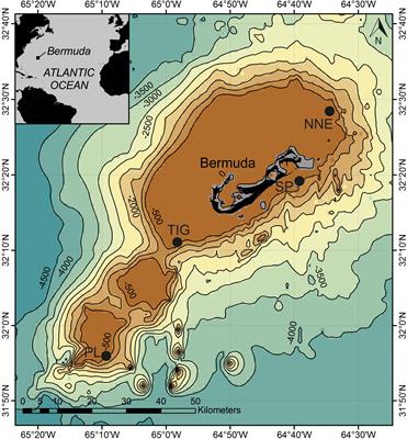 Depth-Dependent Structuring of Reef Fish Assemblages From the Shallows to the Rariphotic Zone